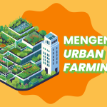 Foto mengenai Urban Farming