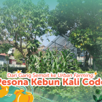 Kebun Kali Code, kebun urban farming yang inspiratif