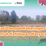 mengatasi kekeringan