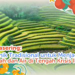 Terasering