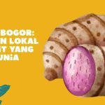 talas bogor