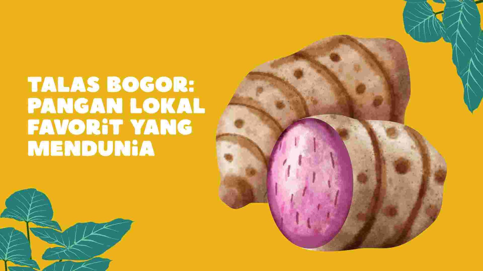 talas bogor